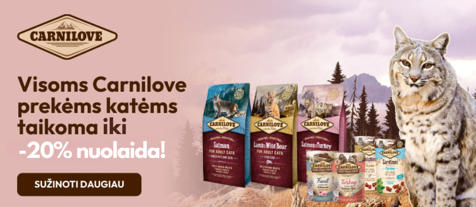 I&scaron;leidžiate savo katę į lauką?